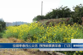 澳门新葡新京在线