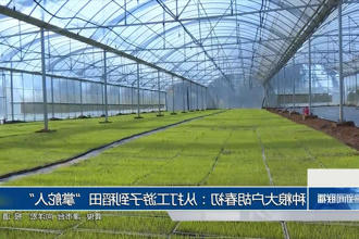 澳门新葡新京在线