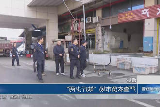 澳门新葡新京在线