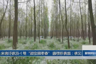 澳门新葡新京在线