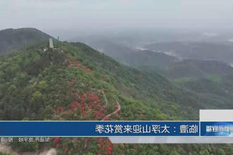 澳门新葡新京在线