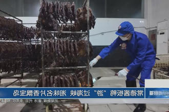 澳门新葡新京在线