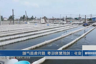 澳门新葡新京在线