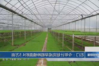 澳门新葡新京在线