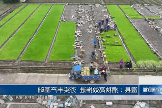 澳门新葡新京在线