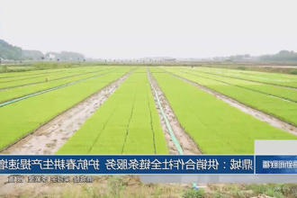 澳门新葡新京在线