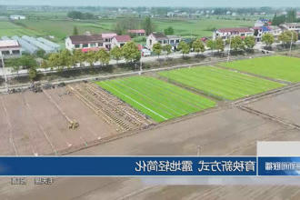 澳门新葡新京在线