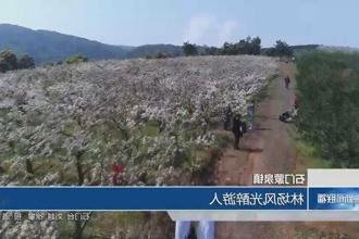 澳门新葡新京在线