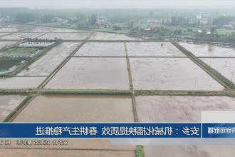 澳门新葡新京在线