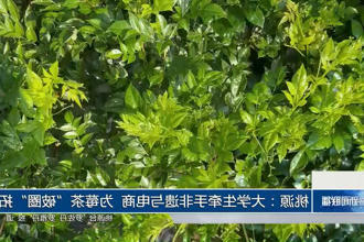 澳门新葡新京在线