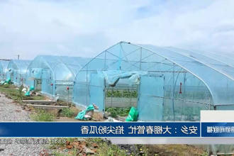 澳门新葡新京在线