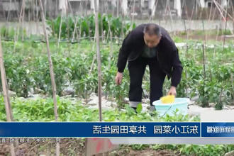 澳门新葡新京在线