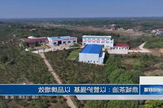澳门新葡新京在线