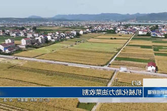 澳门新葡新京在线