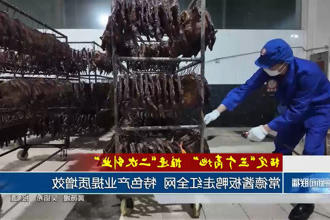 澳门新葡新京在线
