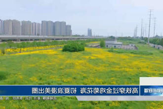 澳门新葡新京在线