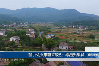 澳门新葡新京在线