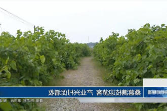 澳门新葡新京在线