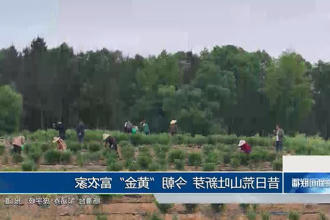澳门新葡新京在线
