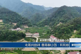 澳门新葡新京在线