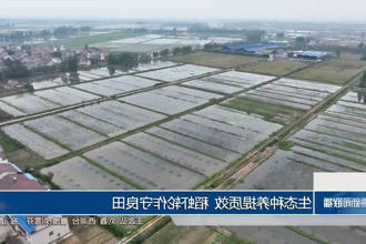 澳门新葡新京在线