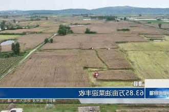 澳门新葡新京在线