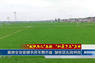澳门新葡新京在线