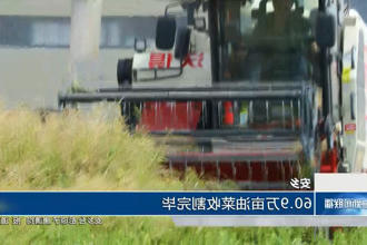 澳门新葡新京在线