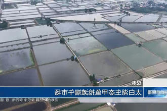 澳门新葡新京在线