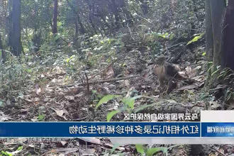 澳门新葡新京在线