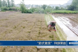 澳门新葡新京在线