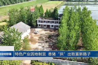 澳门新葡新京在线
