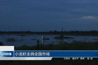澳门新葡新京在线