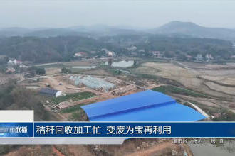 澳门新葡新京在线