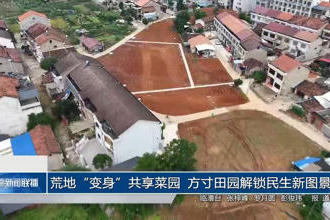 澳门新葡新京在线