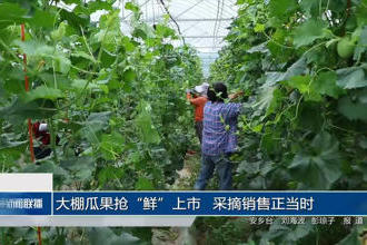 澳门新葡新京在线