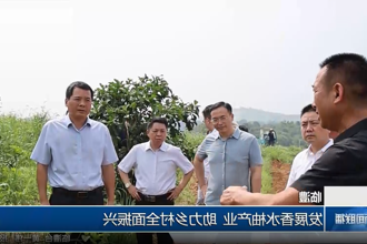 澳门新葡新京在线