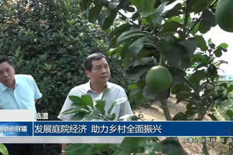 澳门新葡新京在线