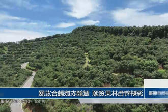 澳门新葡新京在线