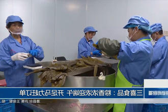 澳门新葡新京在线