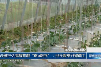 澳门新葡新京在线