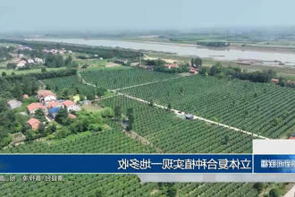 澳门新葡新京在线