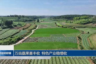 澳门新葡新京在线