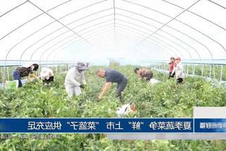 澳门新葡新京在线