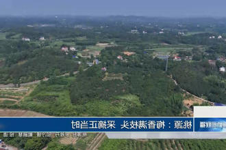 澳门新葡新京在线