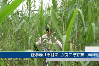 澳门新葡新京在线