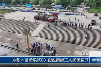 澳门新葡新京在线