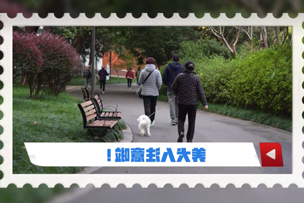 澳门新葡新京在线